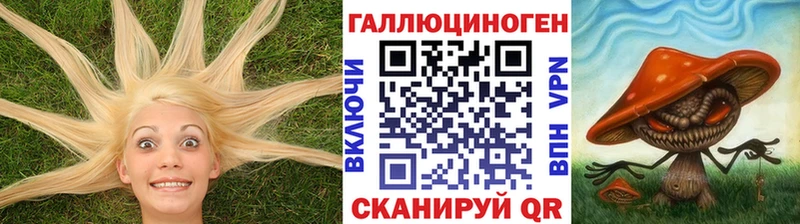 darknet клад  Омск  Псилоцибиновые грибы GOLDEN TEACHER  магазин  наркотиков 